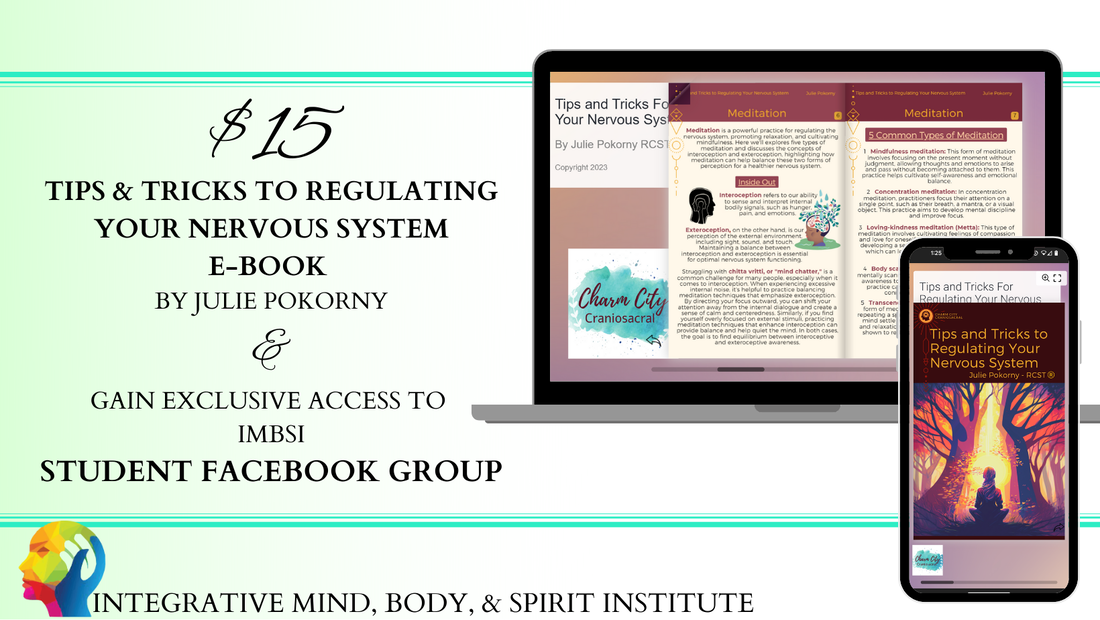 Tips and Tricks to Regulating Your Nervous System E-book by Julie Pokorny and gain exclusive access to IMBSI Student Facebook Group